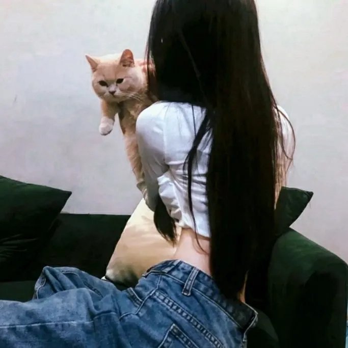 犬舍惊魂